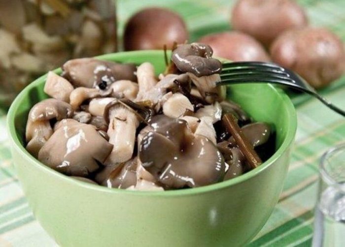 Самые лучшие способы маринования и заготовки подзеленок!