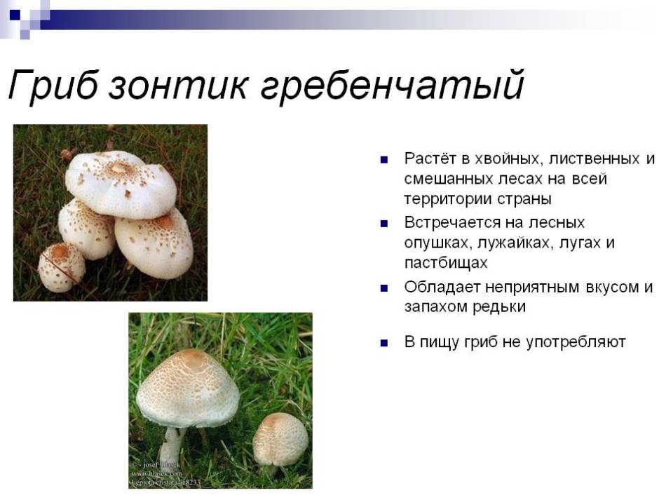 6abd71ef6076a1973b06539b07d52e0e.jpg