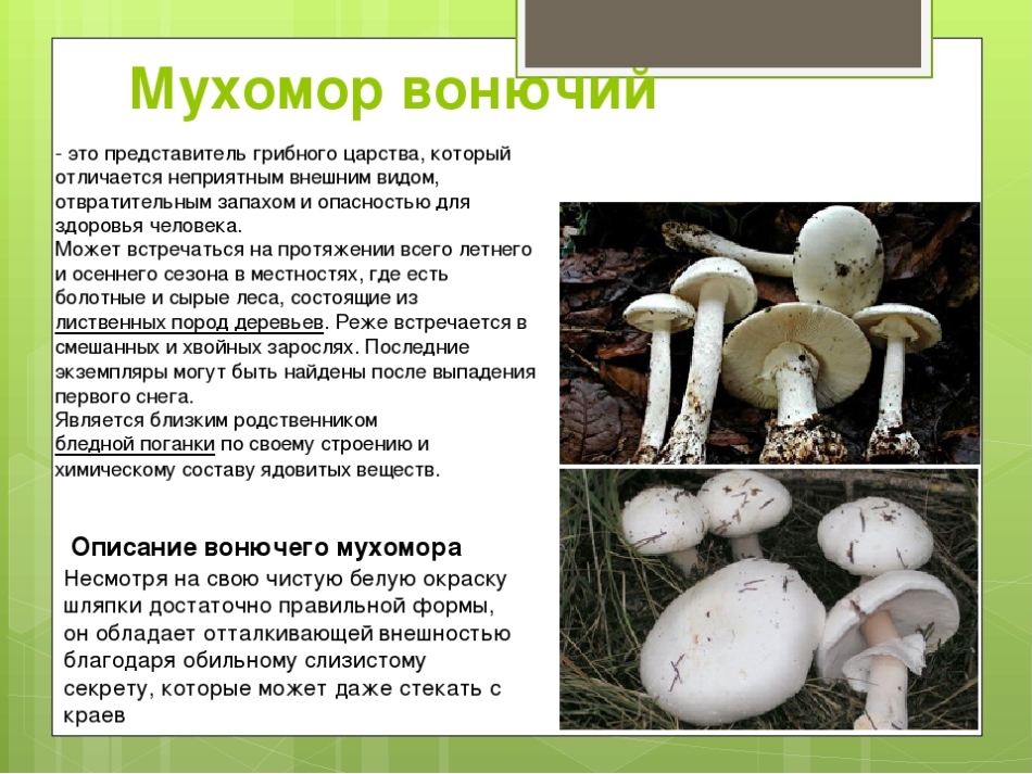 50a712defb6d0d261aefcbe86eebf592.jpg