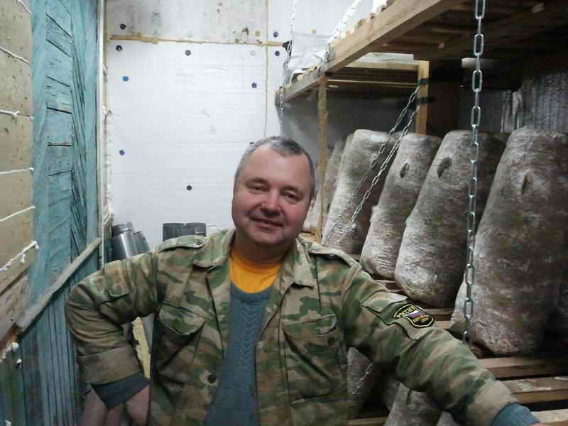 Болезни, проблемы и ошибки при выращивании вешенок в домашних условиях