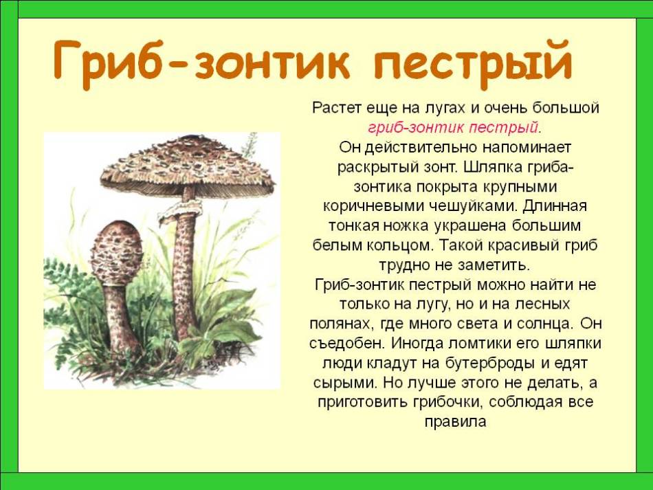 d7b49bd4300df3bf4fee1e75c4afae98.jpg