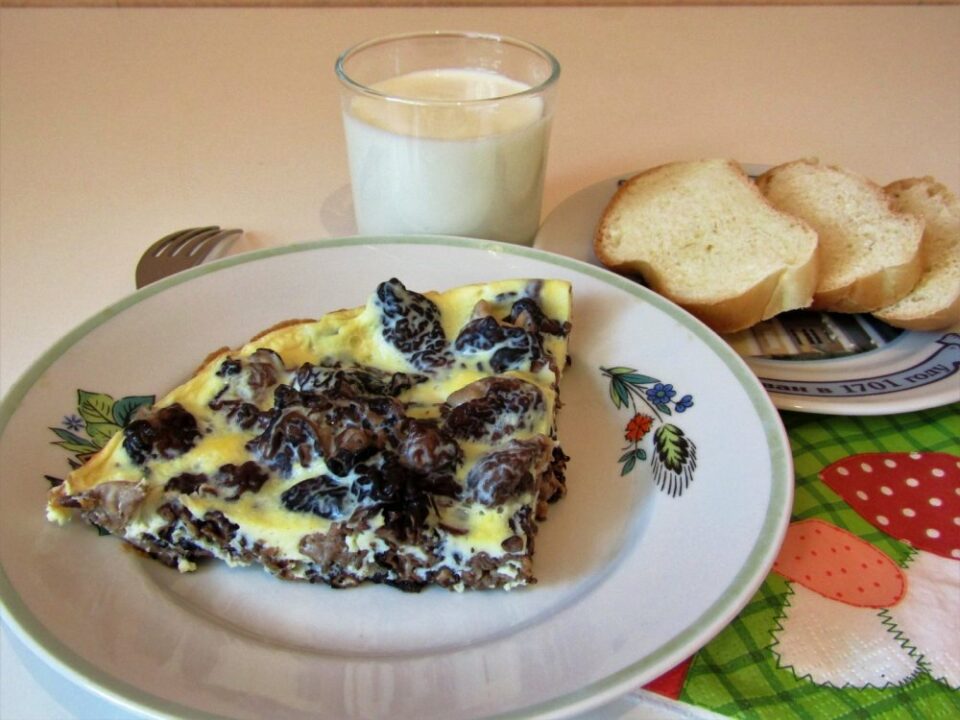 Сморчки с яйцами / Сибирский охотник