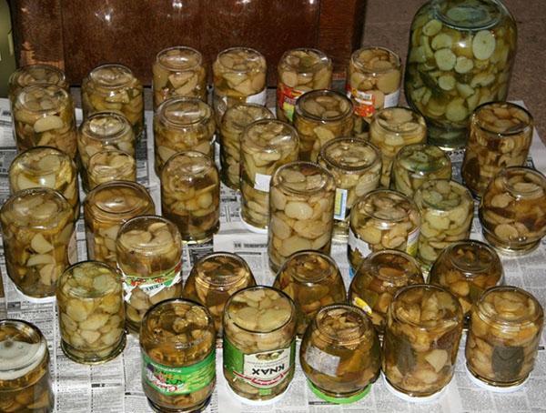 Засолка грибов в банках на зиму - рецепты соленых и маринованных грибов, приготовление белых грибов, видео