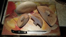 Leucopaxillus lepistoides
