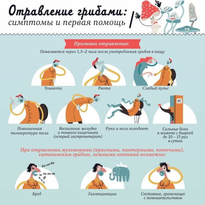Первая помощь при отравлении грибами