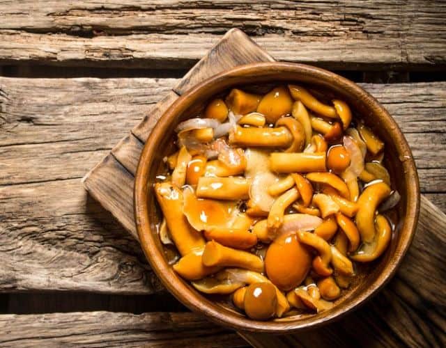 Маринованные осенние грибы: лучший рецепт