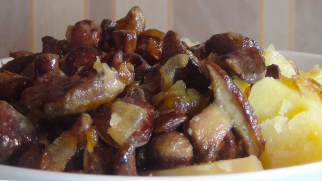 Лиственничные маслята