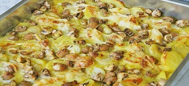 Как приготовить грибы
