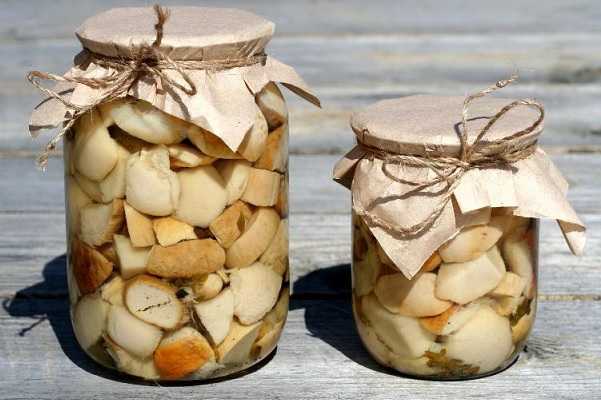 Классические и экзотические рецепты маринования краснокочанной капусты и диких боровиков