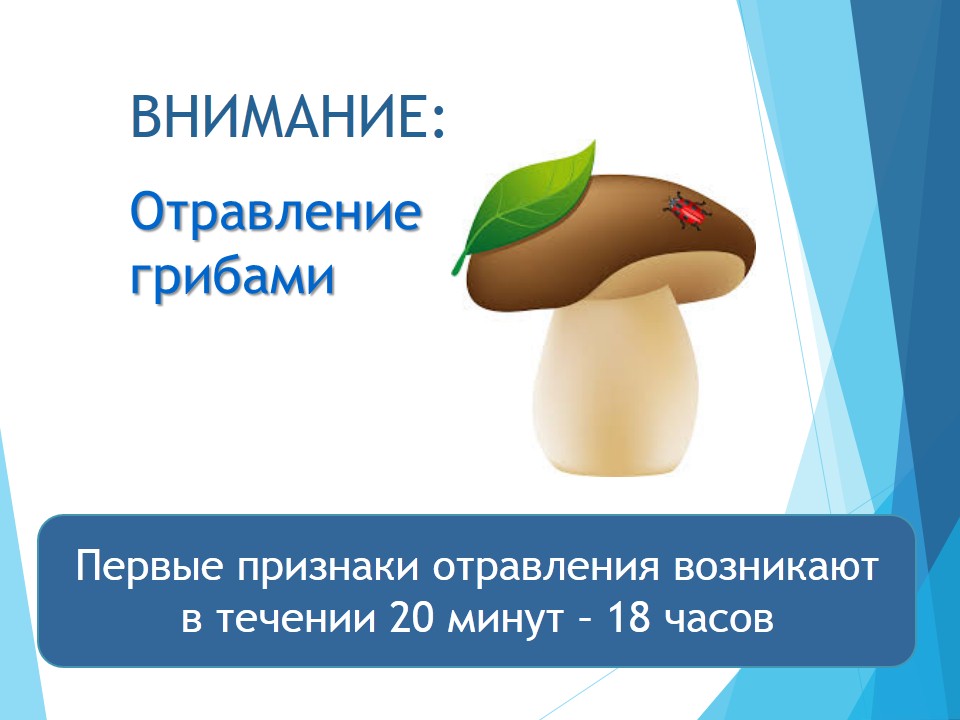 Предупреждение: отравление грибами.