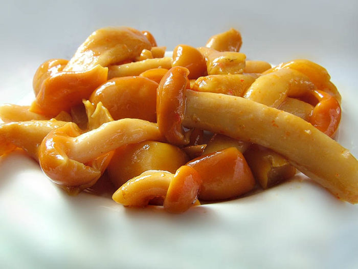Pholiota_nameko_1_JS_20050129-e1544827430394.jpg