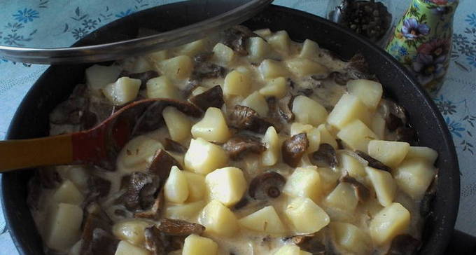 Как вкусно потушить картошку с грибами