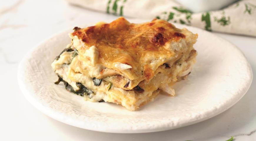 12 лучших рецептов блюд с грибами и курицей