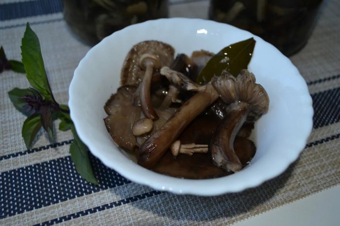Как просто и вкусно замариновать черные грузди