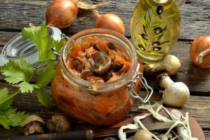 Что приготовить из грибов - 20 вкусных и быстрых рецептов