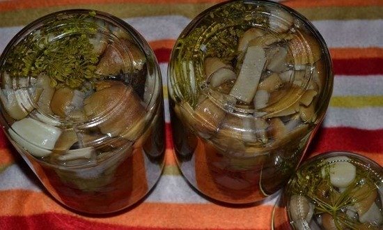 Готовые консервы