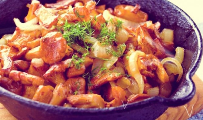 Как вкусно приготовить жареные сыроежки