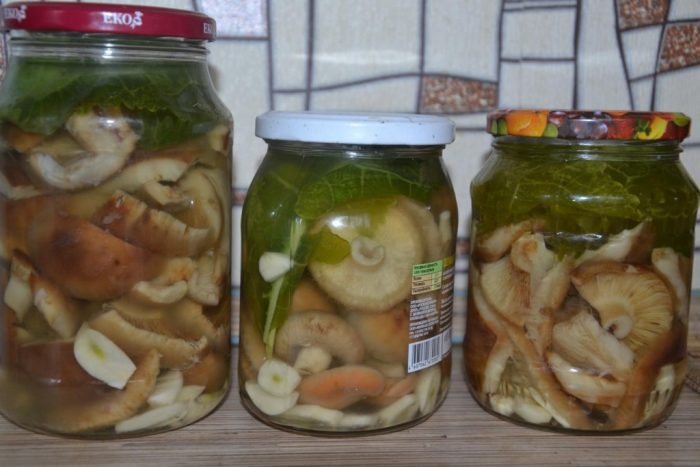 Как мариновать волнушки на зиму в банках