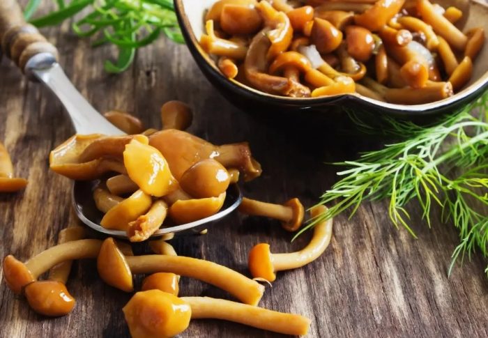 11 самых простых и вкусных рецептов опят холодной засолки