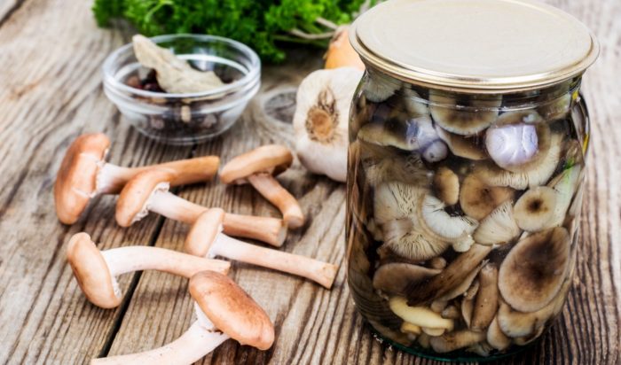 11 самых простых и вкусных рецептов опят холодной засолки