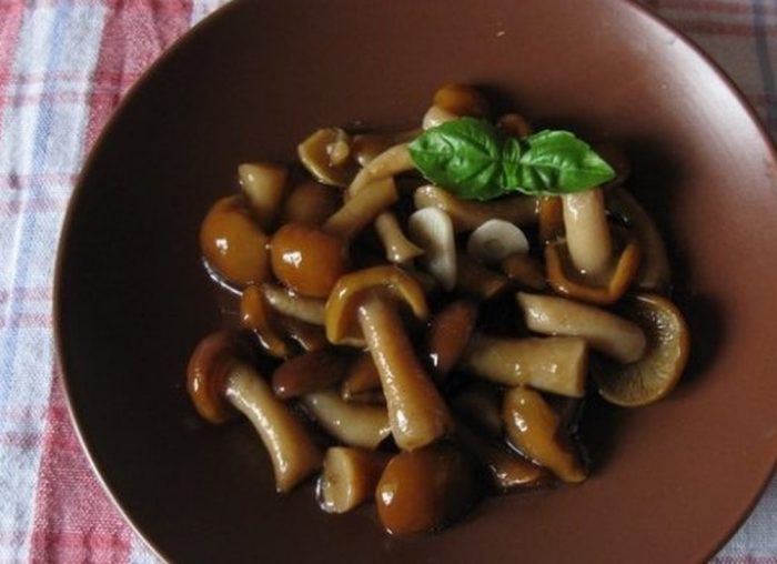 11 самых простых и вкусных рецептов опят холодной засолки
