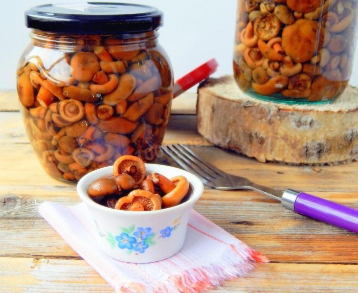 11 самых простых и вкусных рецептов опят холодной засолки