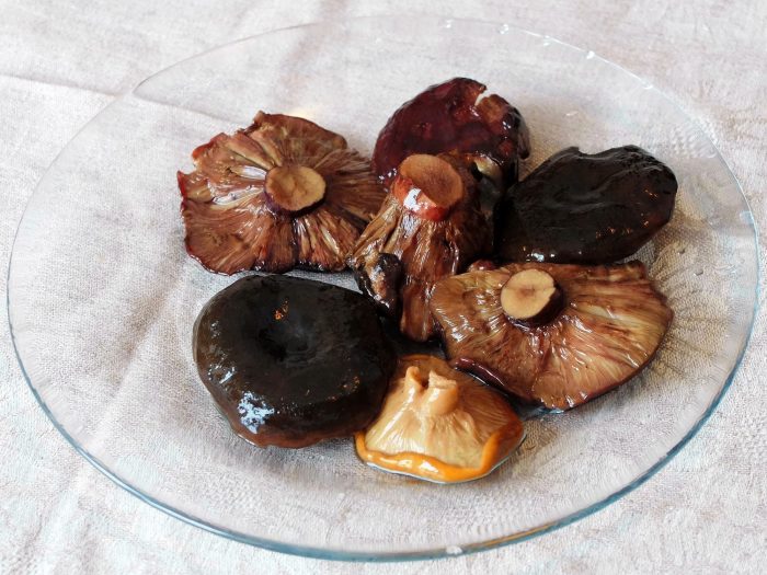 Как просто и вкусно замариновать черные грузди