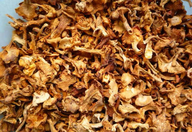 Что можно быстро и вкусно приготовить из сушеных лисичек