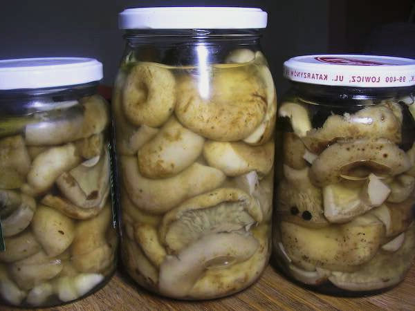 Маринованная икра на зиму - 10 рецептов с пошаговыми фото