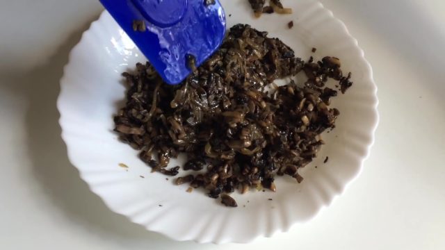 Вкусные котлеты из грибов шампиньонов
