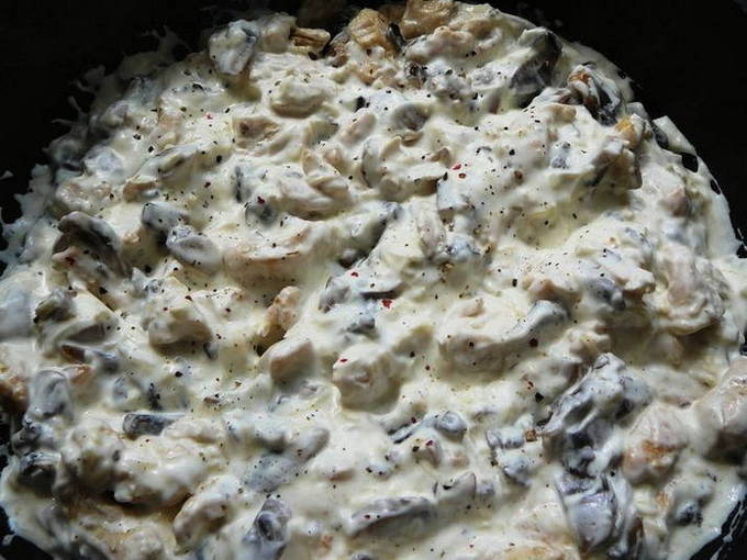 12 лучших рецептов жульена с белыми грибами и курицей