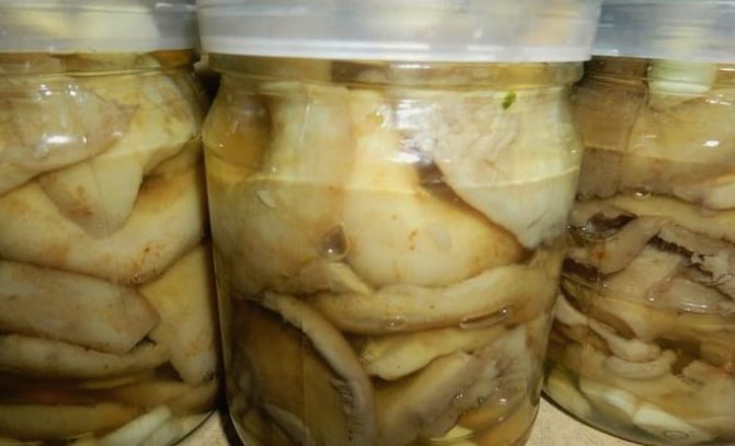 Как вкусно засолить подгруздок белый