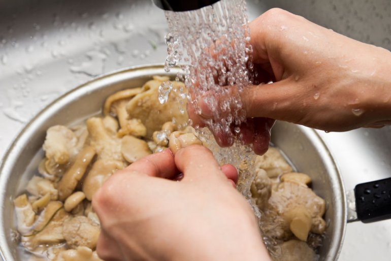 Как вкусно и быстро засолить грибы в домашних условиях в кастрюле и банке