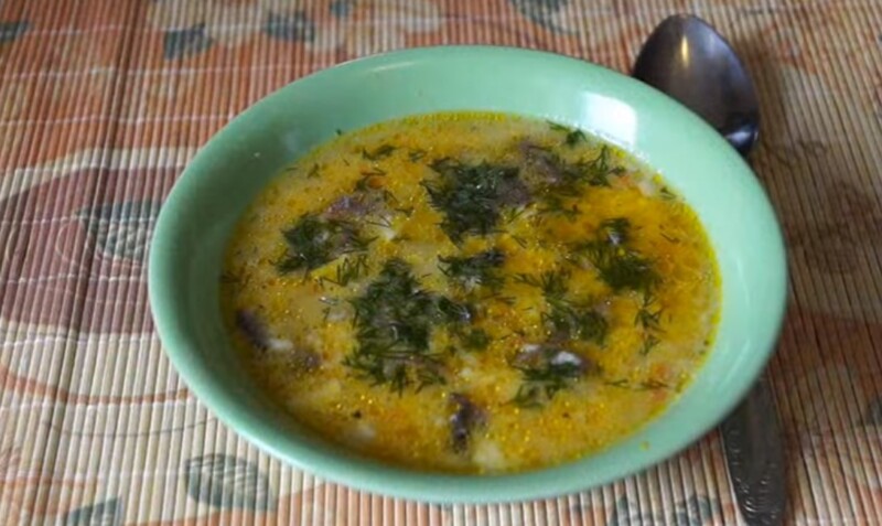 Вкусный грибной суп в мультиварке со свежими грибами