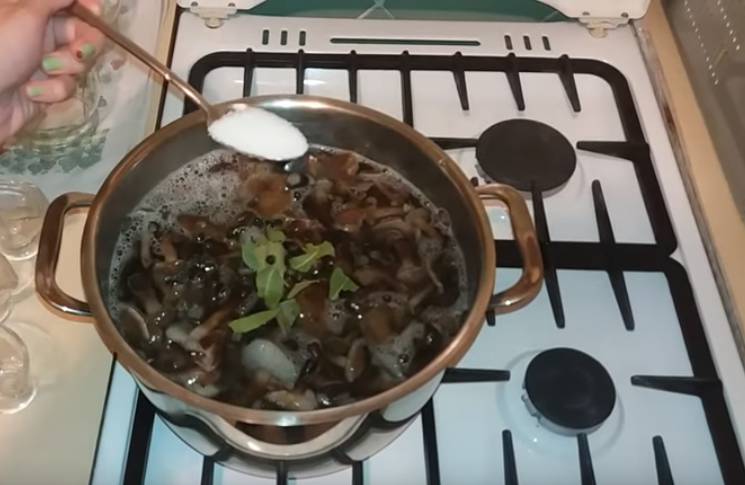 Маринованные буковые грибы на зиму с уксусом