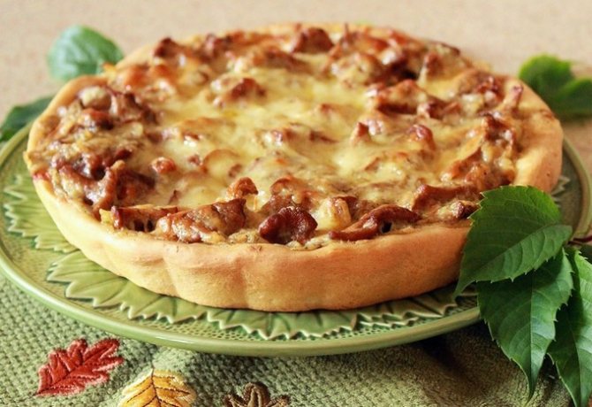 Самые вкусные и простые рецепты пирога с солеными грибами