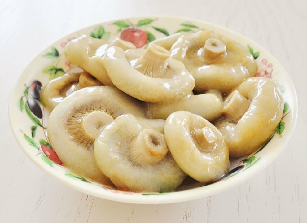 Как правильно и вкусно солить белые грибы - Собираем грибы
