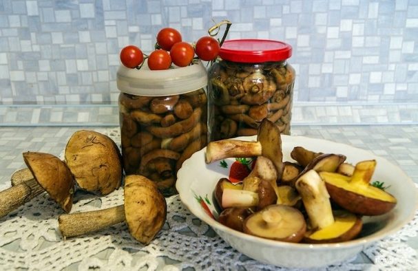 Как быстро и вкусно приготовить грибы подосиновики и подберезовики