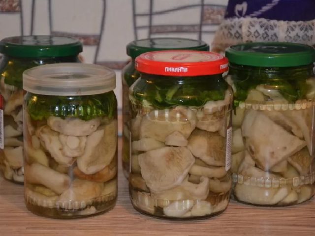 Как правильно засолить подгруздки на зиму