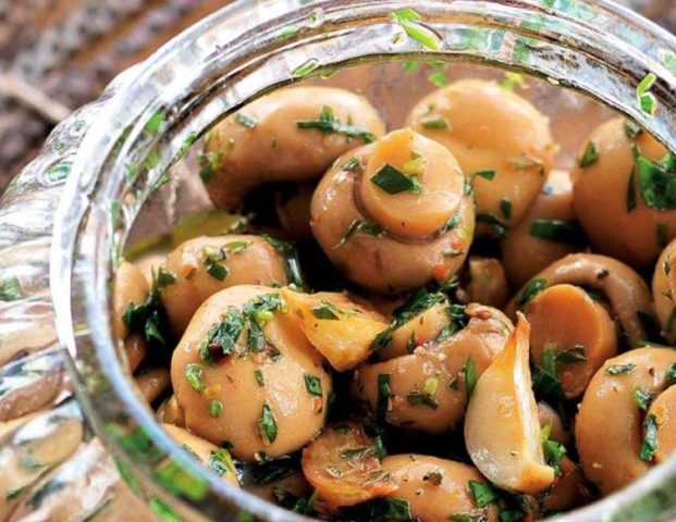 Как готовить дикие шампиньоны