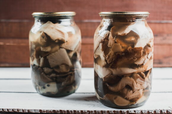 Как быстро и вкусно замариновать вешенки в домашних условиях