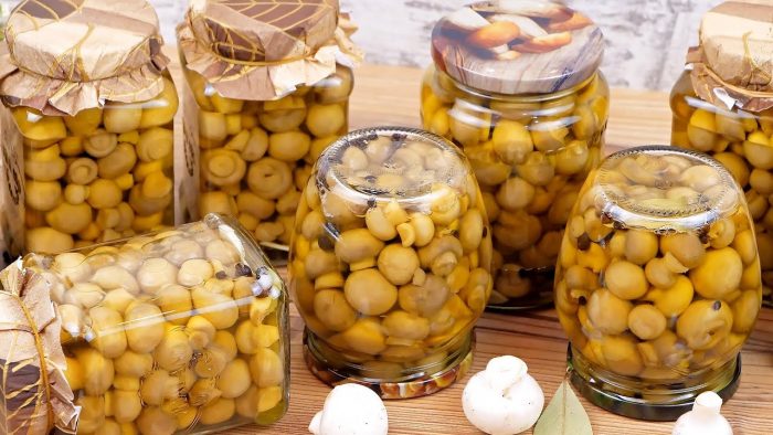 Что можно приготовить из консервированных шампиньонов
