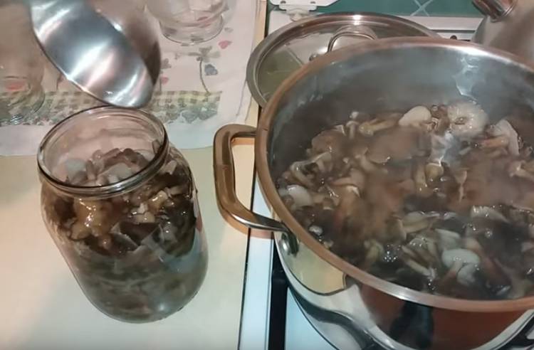 Маринованные буковые грибы на зиму с уксусом