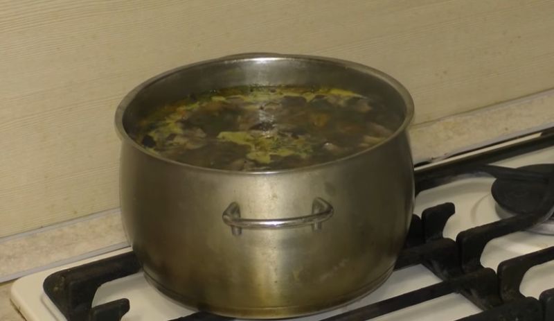 Грибной суп со свежими грибами, самые вкусные рецепты
