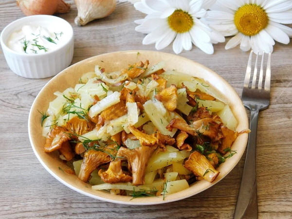 Сушеные лисички. Как готовить, как долго готовить, рецепты с фото