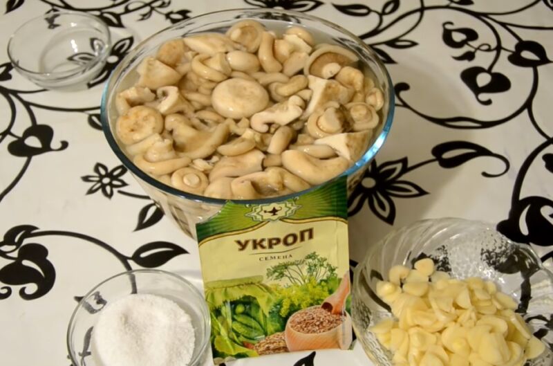 Как вкусно и быстро засолить грибы в домашних условиях в кастрюле и банке