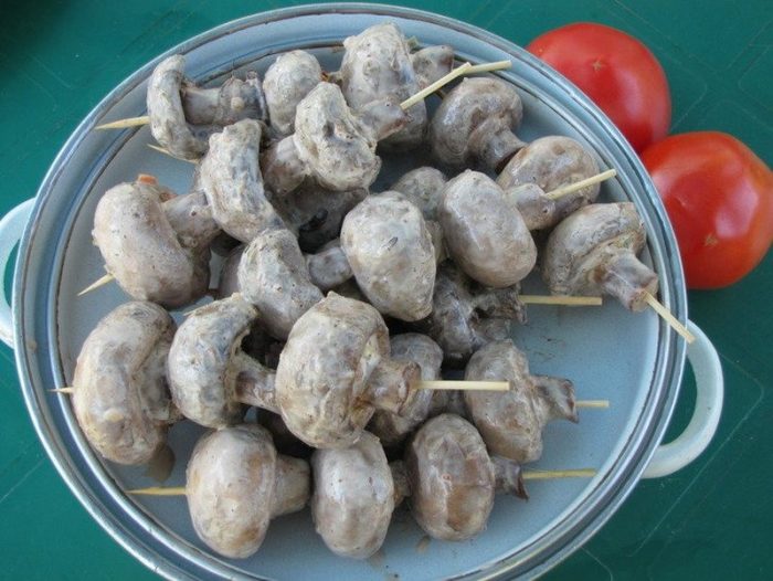 Как вкусно замариновать и пожарить грибы на костре