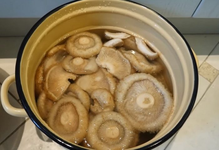 Как посолить грузди на зиму в стеклянные банки и в кастрюле