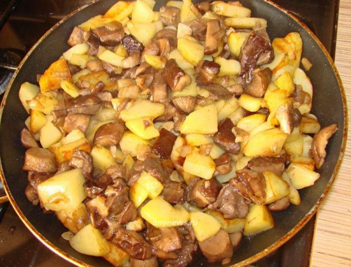 Как быстро и вкусно приготовить грибы подосиновики и подберезовики