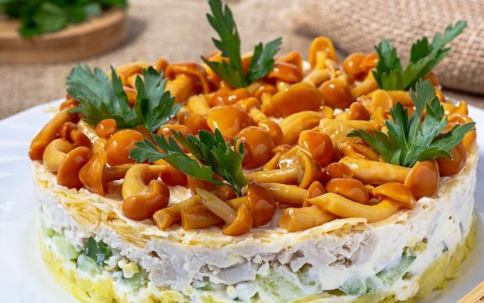 19 вариантов салата с буковыми грибами и куриной грудкой